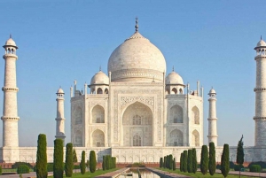 Von Delhi aus: Tagestour zum Taj Mahal und zum Agra Fort ohne Umwege