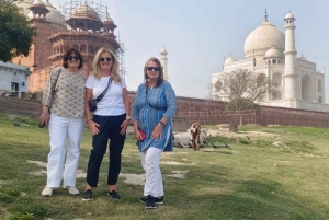 Vanuit Delhi: Dagtrip Taj Mahal en Agra Fort zonder tussenstops