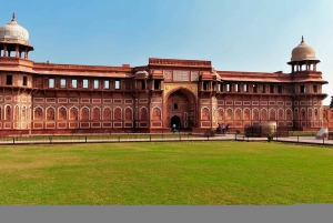 Depuis Delhi : Sunrise Agra Tour en voiture avec petit déjeuner