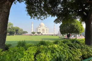 Da Delhi: Tour di Agra all'alba in auto con prima colazione