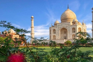 Från Delhi: Soluppgång Taj Mahal, Agra Fort & Baby Taj Tour