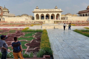 Delhi: Taj Mahal og Agra Fort soloppgangstur med transport