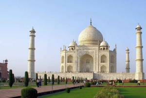 Depuis Delhi : visite guidée du Taj Mahal au lever du soleil en voiture avec guide officiel