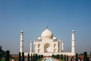 Fra Delhi: Taj Mahal Sunrise Tour i bil med statslig guide