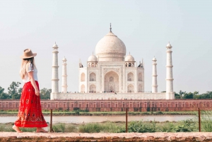 Fra Delhi: Taj Mahal soloppgangstur i bil med statlig guide