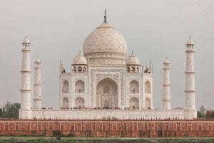 Delhistä: Auringonnousu Taj Mahal ja Elefantti/Karhu SOS -kierros