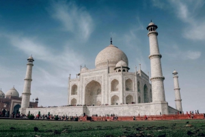 Delhistä: Auringonnousu Taj Mahal ja Elefantti/Karhu SOS -kierros