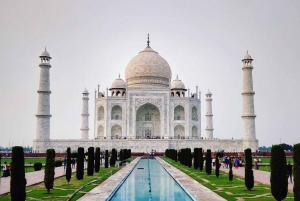 Delhistä: Auringonnousu Taj Mahal ja Elefantti/Karhu SOS -kierros