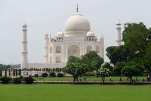 Z Delhi: Wschód słońca w Taj Mahal i wycieczka SOS dla słoni i niedźwiedzi