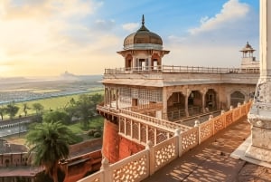 Från Delhi: Taj Mahal i soluppgången och elefantskyddstur