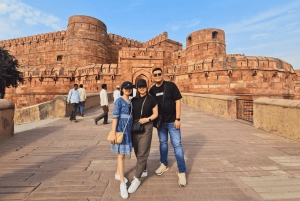 Från Delhi: Taj Mahal i soluppgången och elefantskyddstur