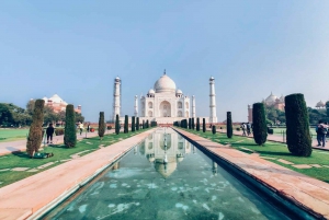 Da Delhi: Tour SOS all'alba del Taj Mahal e della fauna selvatica degli elefanti