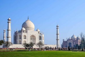 From Delhi: Sunrise Taj Mahal and Elephant Wildlife SOS Tour