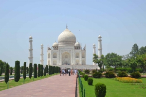 From Delhi: Sunrise Taj Mahal and Elephant Wildlife SOS Tour