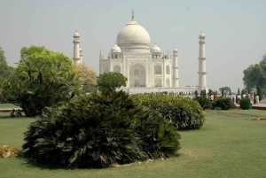 From Delhi: Sunrise Taj Mahal and Elephant Wildlife SOS Tour