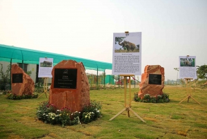 Da Delhi: Tour del Taj Mahal all'alba con Elephant SOS.