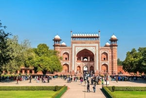 Fra Delhi: Taj Mahal-tur ved soloppgang med Elephant SOS Center