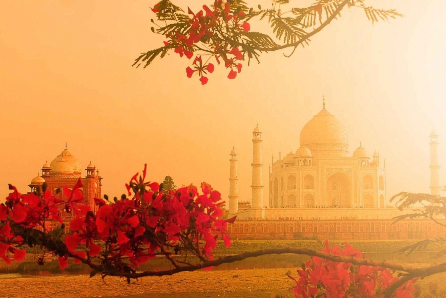 From Delhi: Sunrise Taj Mahal & Full Agra City Amazing Tour