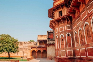 Vanuit Delhi: Zonsopgang Taj Mahal & volledige stadsrondleiding door Agra