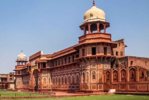 Vanuit Delhi: Zonsopgang Taj Mahal & volledige stadsrondleiding door Agra