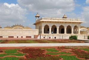 Da Delhi: Alba del Taj Mahal e tour completo della città di Agra