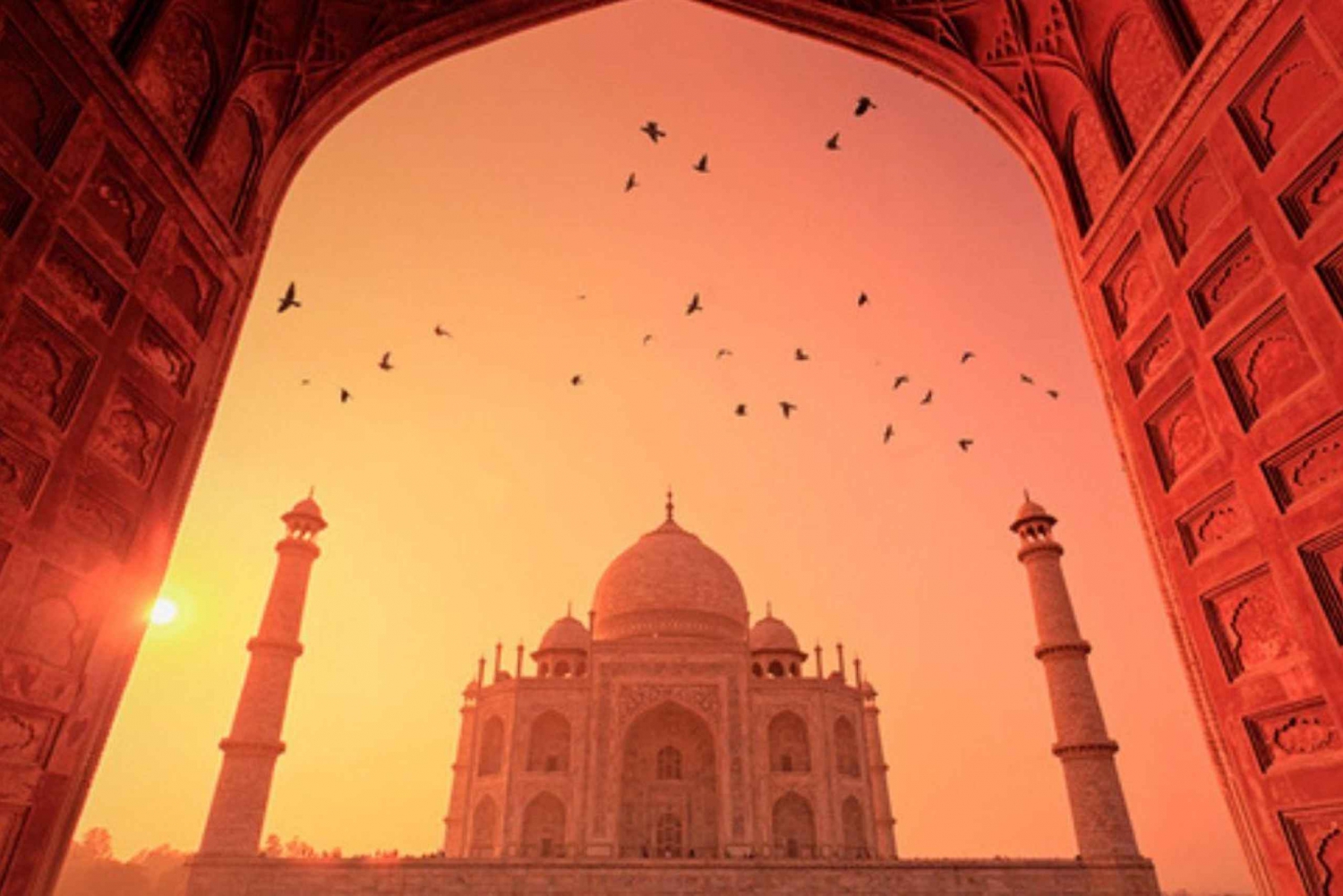 Fra New Delhi: Taj Mahal Sunrise Tour og Elephant Wildlife