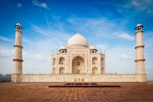 Delhistä: Auringonnousu Taj Mahal Tour ja elefanttien suojelu