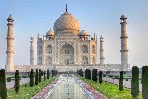 Da Delhi:Tour del Taj Mahal all'alba con conservazione degli elefanti