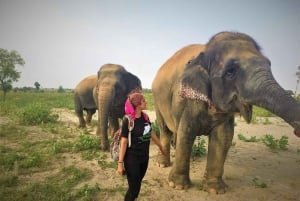 Von Delhi: Taj Mahal bei Sonnenaufgang mit Elephant SOS