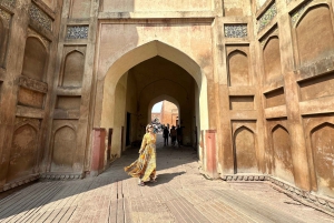 Depuis Delhi : Taj Mahal, Agra et safari ornithologique en train