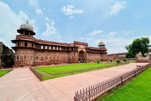 Depuis Delhi : Taj Mahal, Agra et safari ornithologique en train