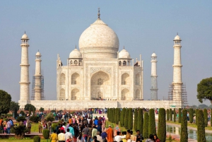 Ab Delhi: Taj Mahal, Agra & Vogel-Safari Tour mit dem Zug