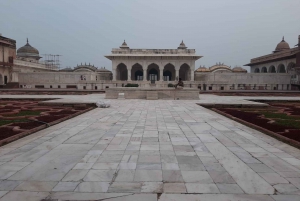 Depuis Delhi : Taj Mahal, Agra et safari ornithologique en train