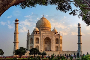 Vanuit Delhi: stadstour Taj Mahal en Agra met de Gatiman-trein