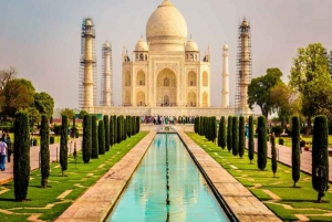 Vanuit Delhi: Taj Mahal & Agra Stadsrondleiding per Gatiman Trein