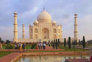 Depuis Delhi : Excursion d'une journée au Taj Mahal et à Agra en voiture avec chauffeur