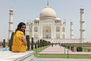 Desde Delhi: Excursión de un día al Taj Mahal de Agra con Guía y Traslado