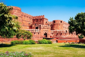 Depuis Delhi : visite du Taj Mahal, du fort d'Agra et de Baby Taj en voiture