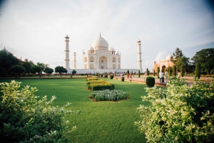 Depuis Delhi : visite du Taj Mahal, du fort d'Agra et de Baby Taj en voiture