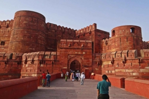 Från Delhi: Taj Mahal & Agra Fort Dagsutflykt med expresståg