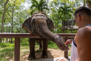 Delhistä: Taj Mahal, Agran linnoitus ja elefanttikeskus -päiväretki