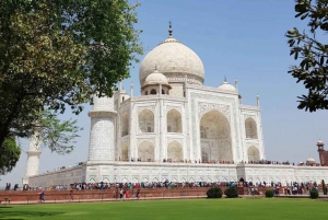 From Delhi: Taj Mahal, Agra & Mathura Tour with Transfers