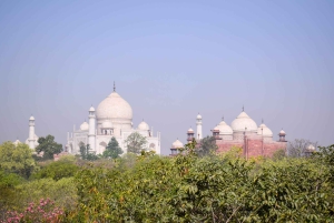 Z Delhi: Prywatna wycieczka do Taj Mahal i Agry z 5-gwiazdkowym lunchem