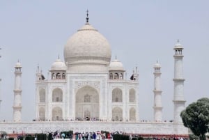 Fra Delhi: Privat dagstur til Taj Mahal og Agra med transport