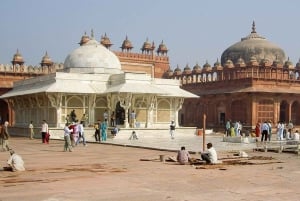 Fra Delhi: Privat dagstur til Taj Mahal og Agra med transport
