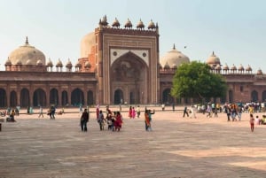 Fra Delhi: Privat dagstur til Taj Mahal og Agra med transport