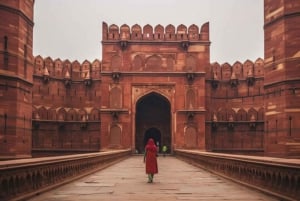 Fra Delhi: Privat dagstur til Taj Mahal og Agra med transport