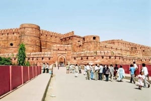 Fra Delhi: Privat dagstur til Taj Mahal og Agra med transport