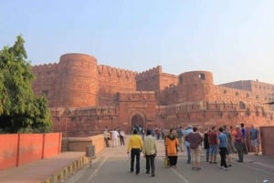 Fra Delhi: Privat dagstur til Taj Mahal og Agra med transport