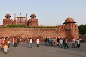 Fra Delhi: Privat dagstur til Taj Mahal og Agra med transport